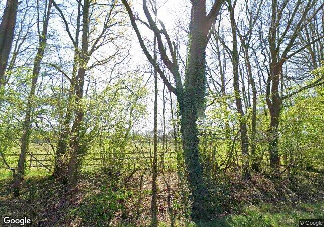 Streetview Molenstraat 30 Herpen