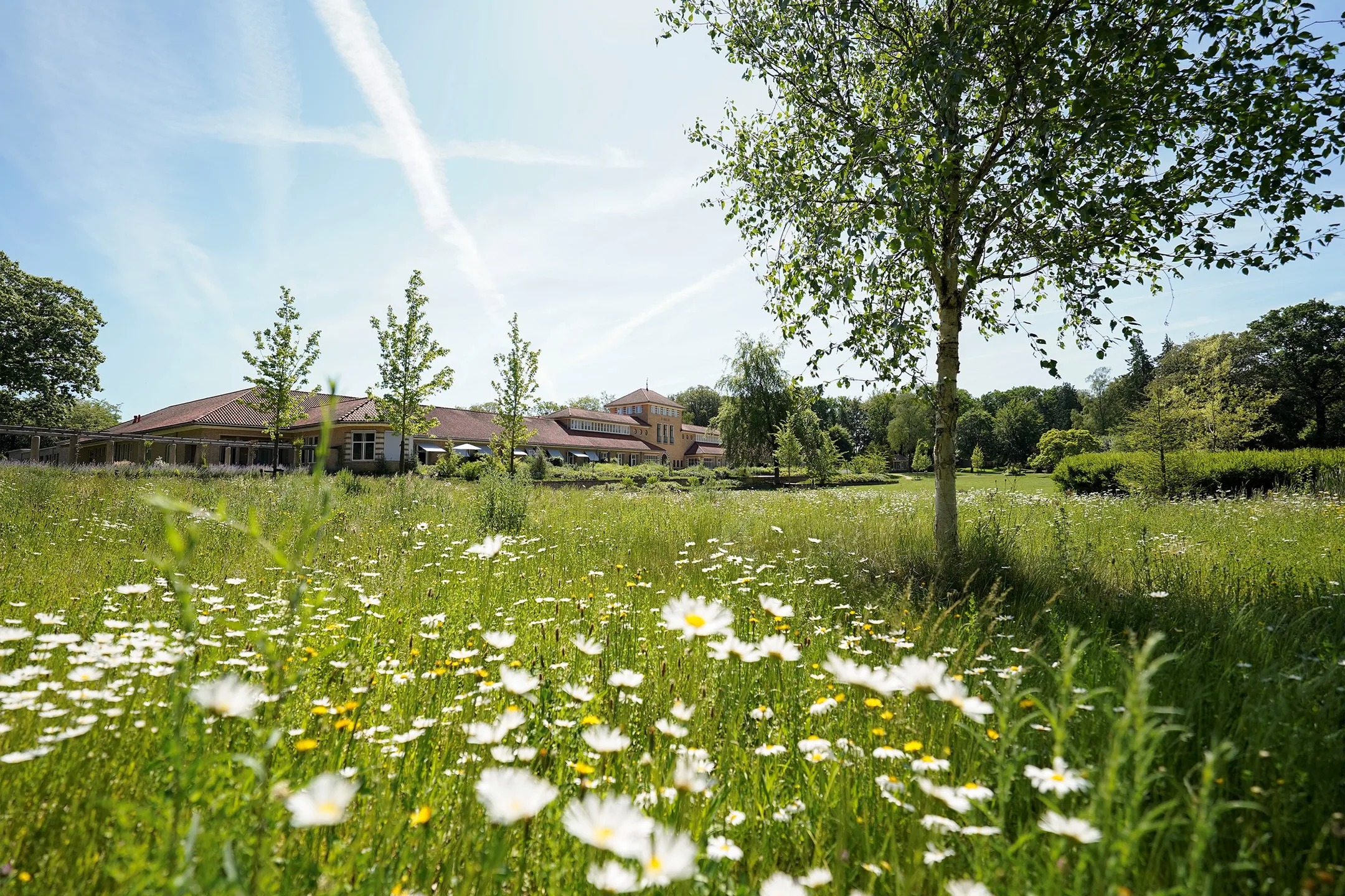 Penthouse Hooge Riet 60 in Ermelo