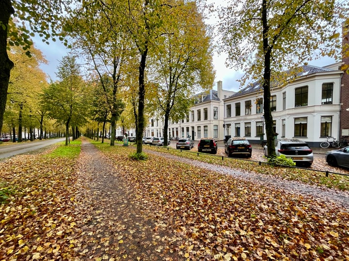 Bovenwoning, duplex Maliebaan 71 Utrecht
