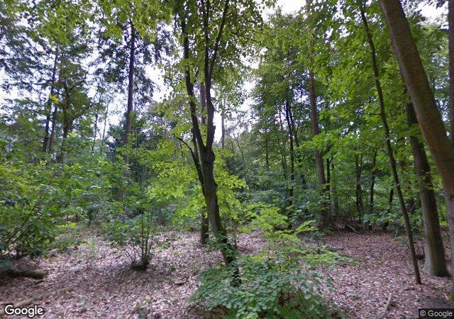 Streetview Stopsdijk 4 Almen