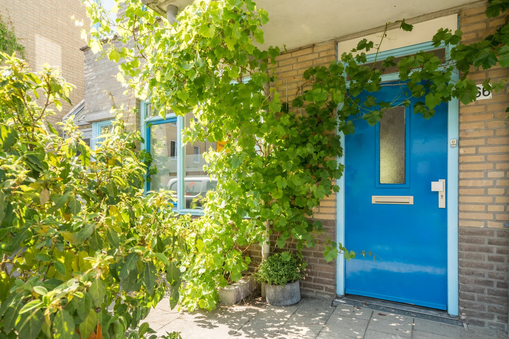 Benedenwoning Van der Marckstraat 66 Utrecht