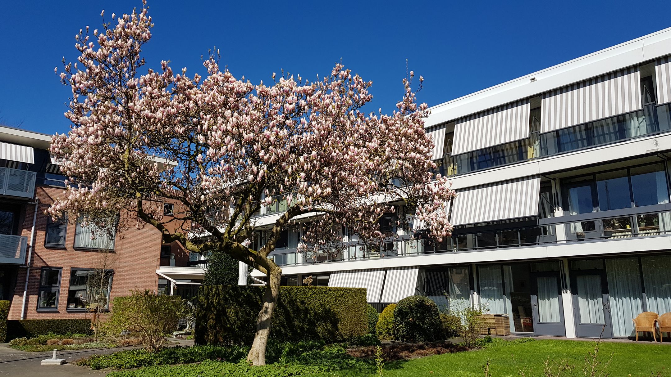 Portiekwoning (appartement) Irenelaan 1 in Haren Gn