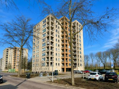 Portiekwoning Hermelijnvlinder 101 in Diemen