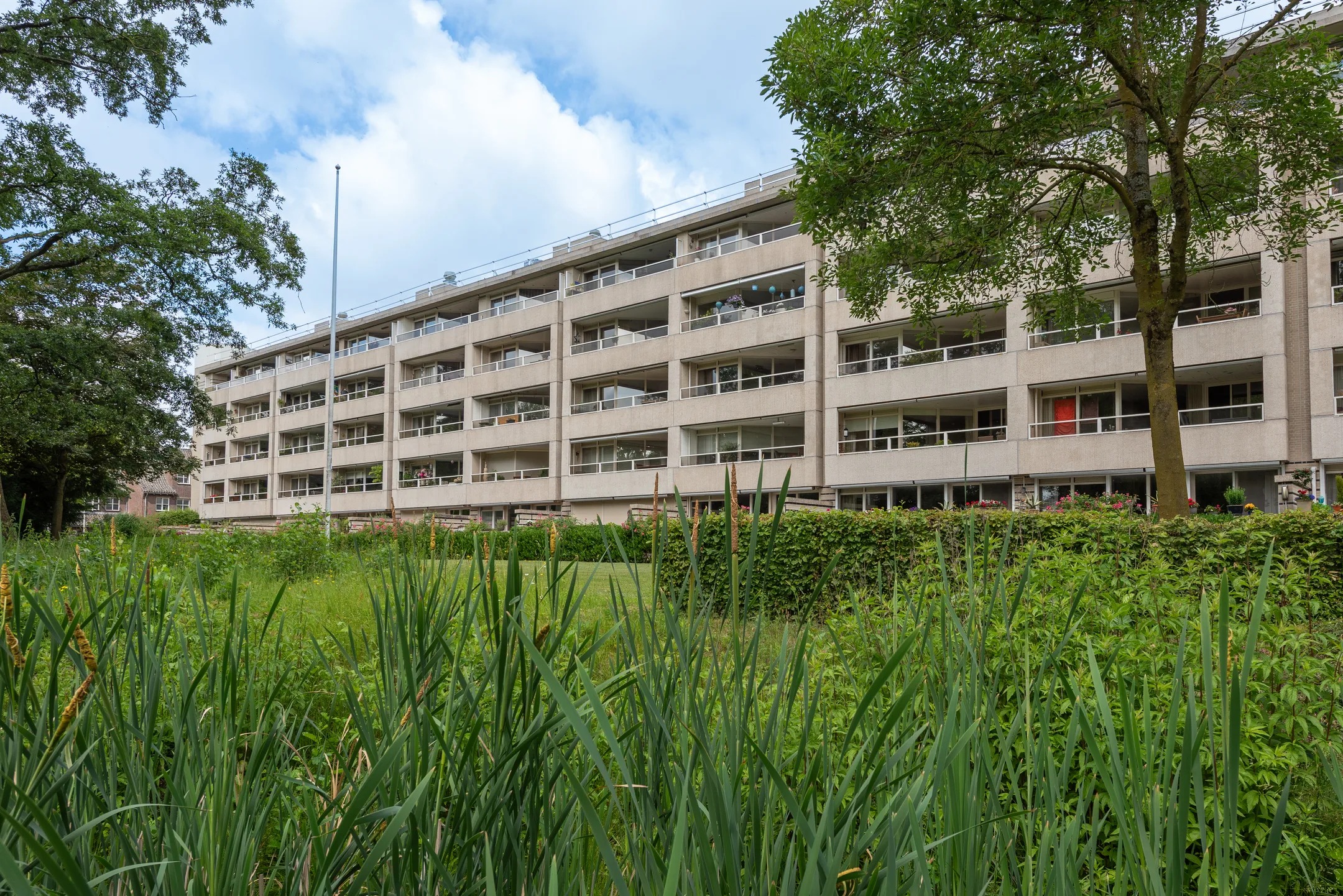 Portiekflat Groot Paradijs 91 Eindhoven