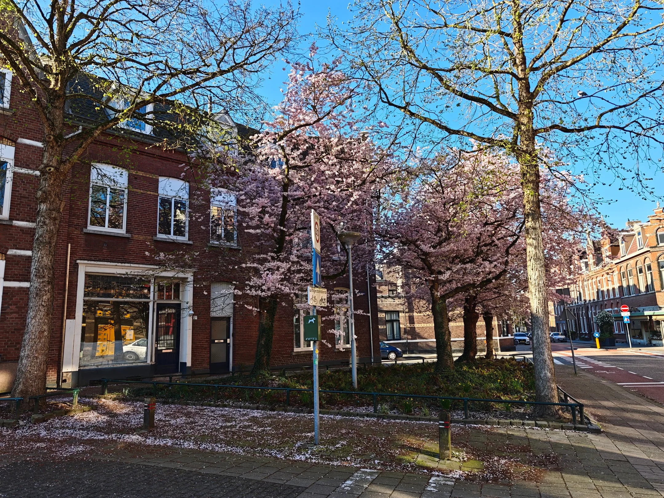 Bovenwoning Herungerstraat 2 in Venlo