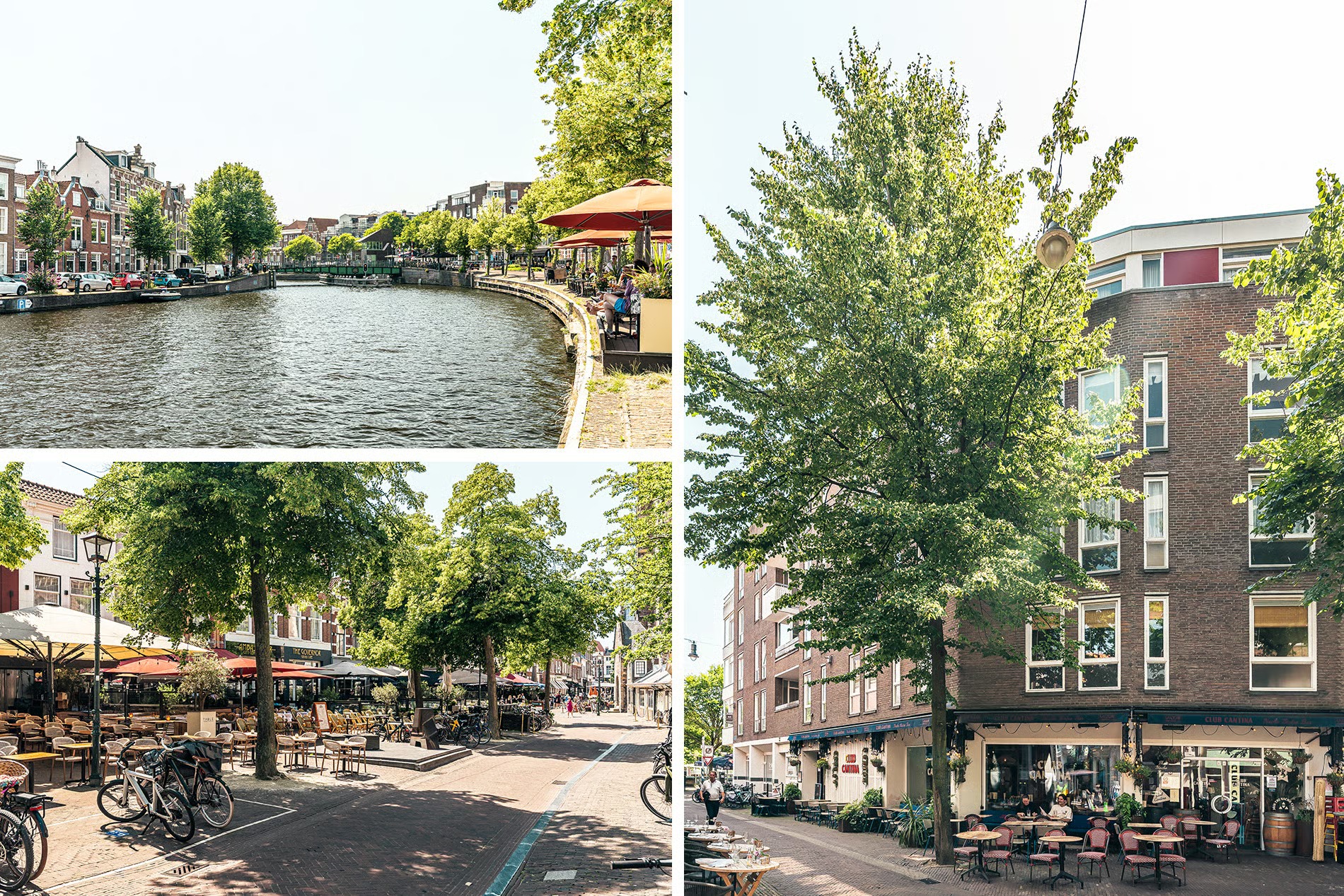 Bovenwoning Korte Veerstraat 24 Haarlem
