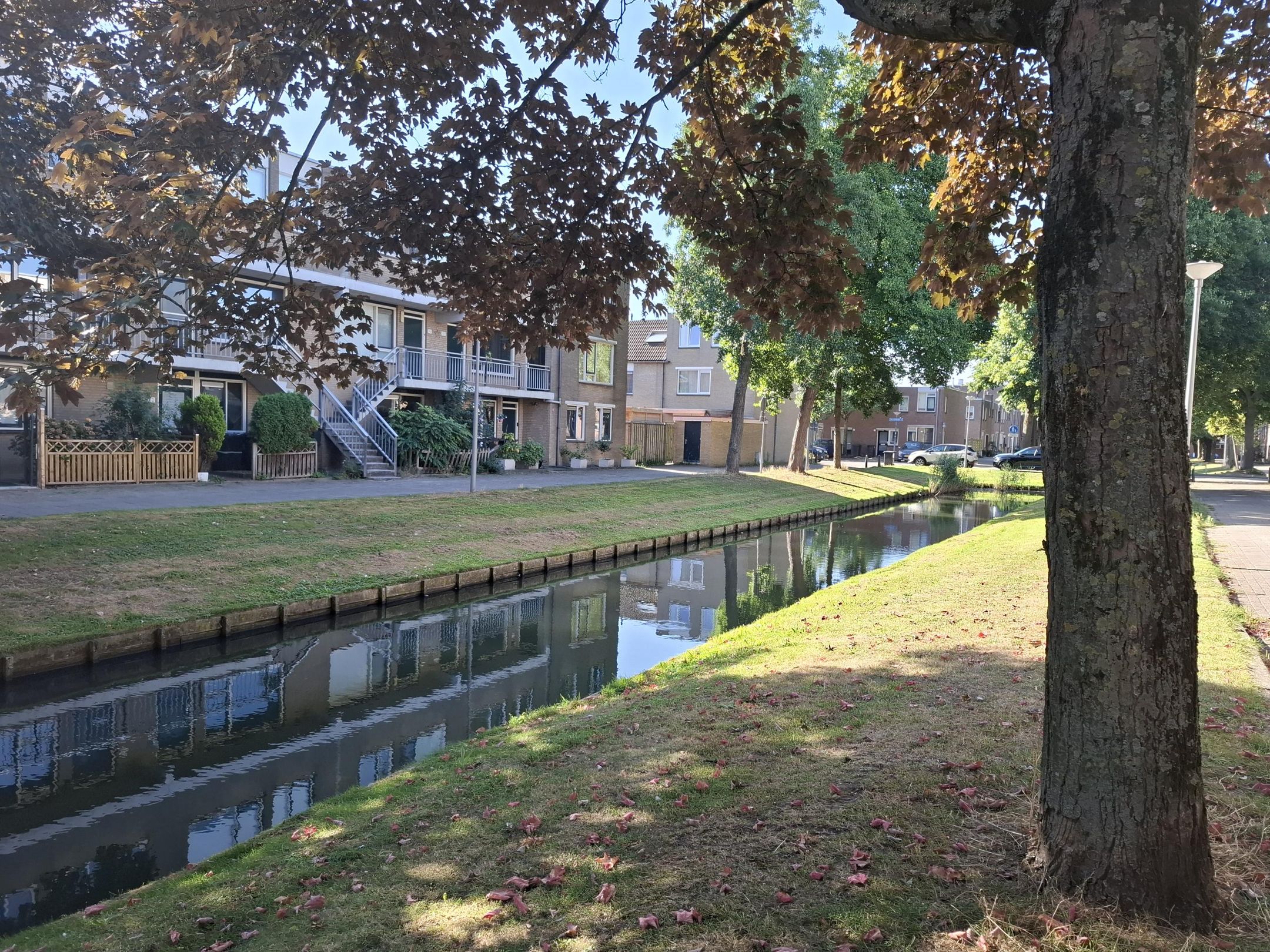 Benedenwoning Alerdincksingel 65 in Rotterdam
