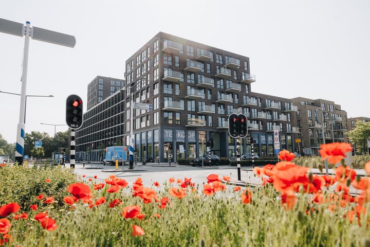 Portiekflat Theodora Eigemanpad 44 Delft