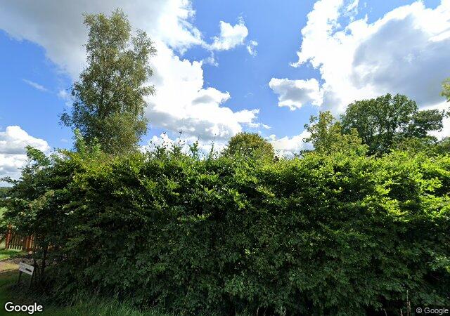 Streetview Wittendijk 4 Kring van Dorth