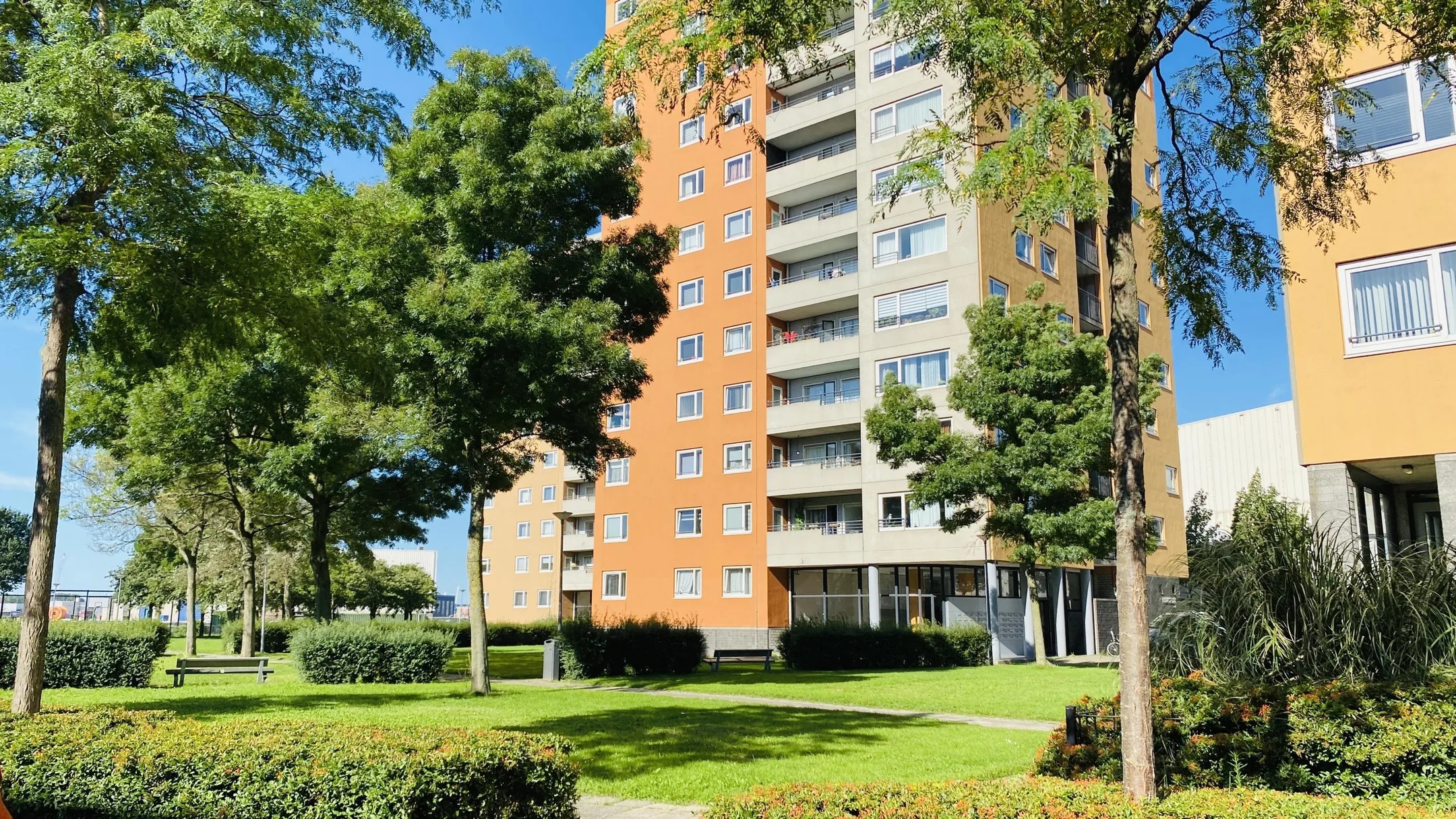 Portiekflat Speedwellstraat 254 Rotterdam