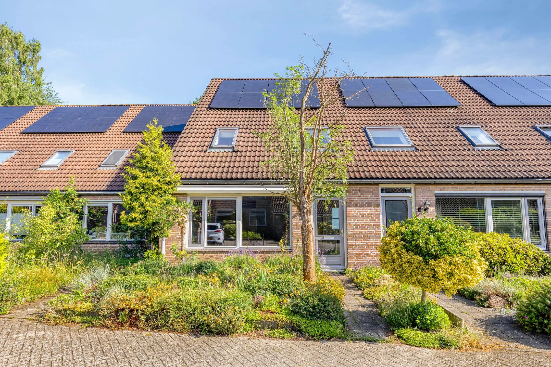 Verspringend Bonte salie 29 in Deventer
