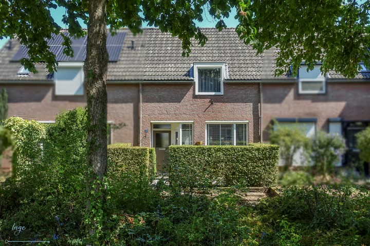 Tussenwoning Dotterbloemstraat 20 in Reuver