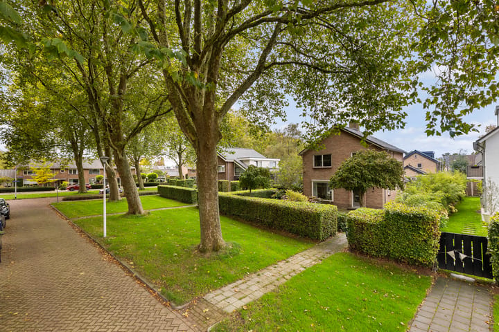 Eengezinswoning, vrijstaande woning Goeman Borgesiuslaan 1 Zwolle