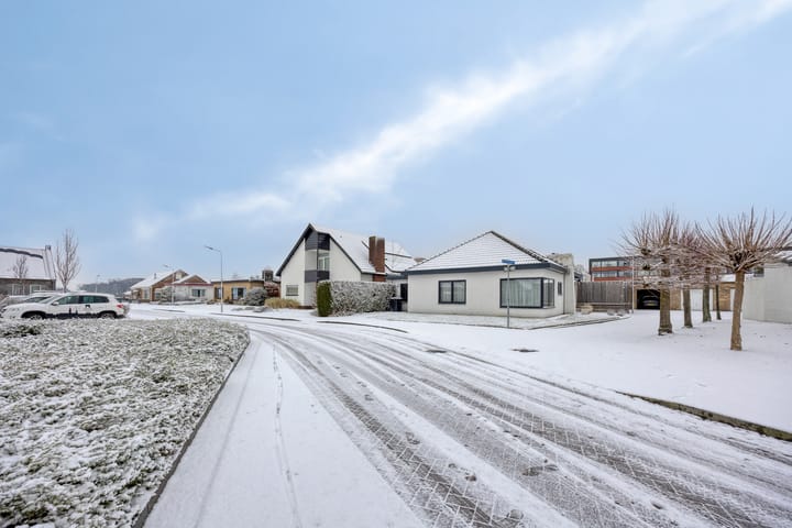 Vrijstaande woning Janseniuslaan 4 in Hulst