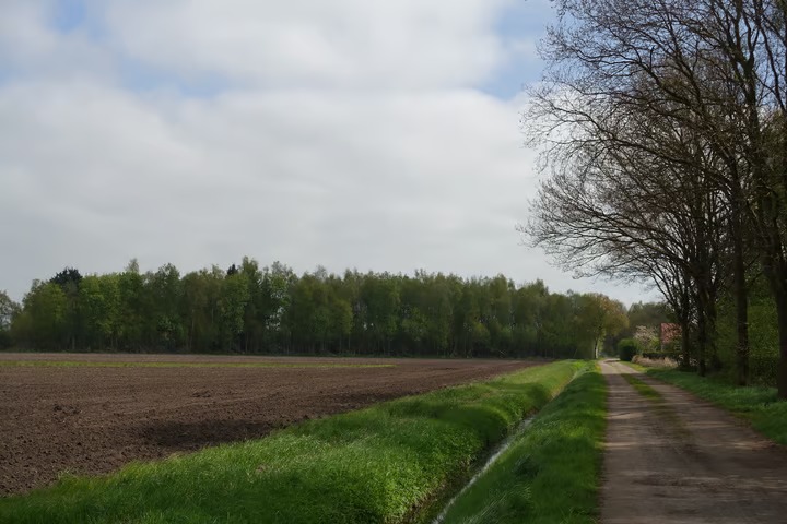 Bouwgrond 2e Dalweg 10 Vriescheloo