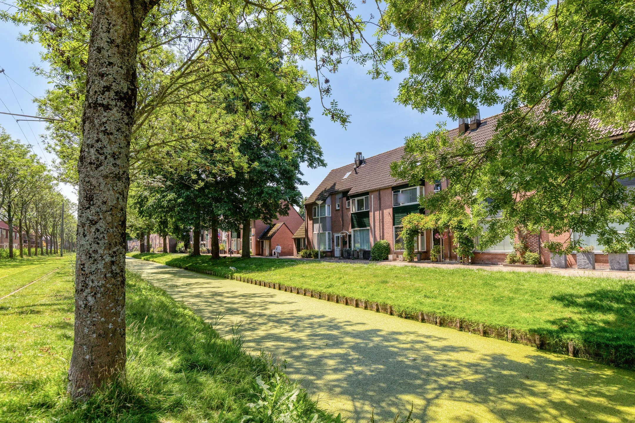 Tussenwoning Rhijnauwensingel 459 in Rotterdam
