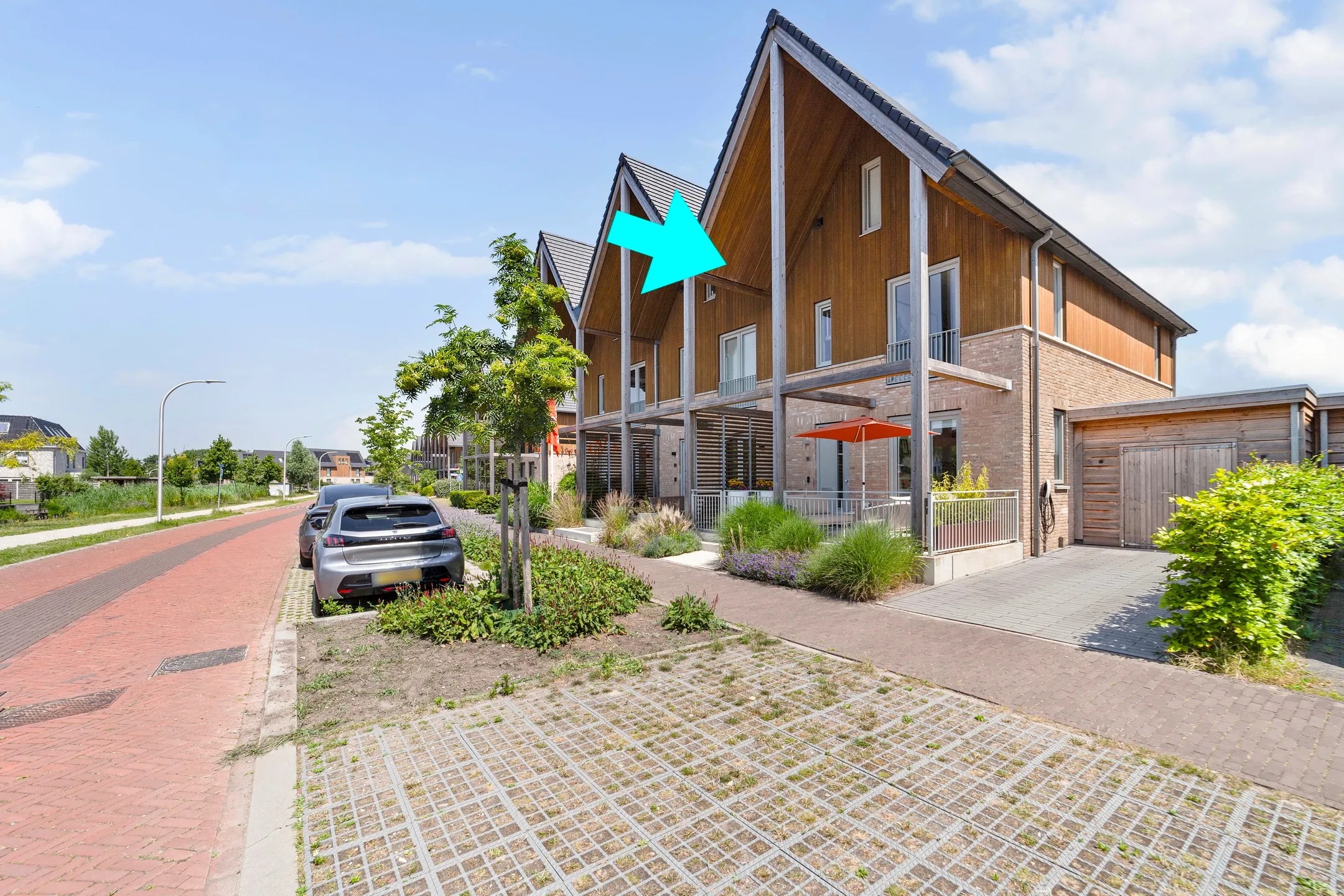 Hoekwoning Aalscholver 8 Pijnacker