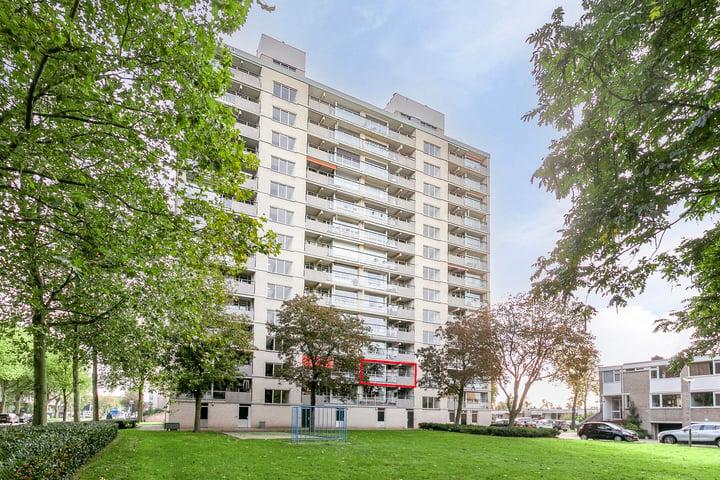 Portiekflat Ovidiuslaan 57 's-Hertogenbosch