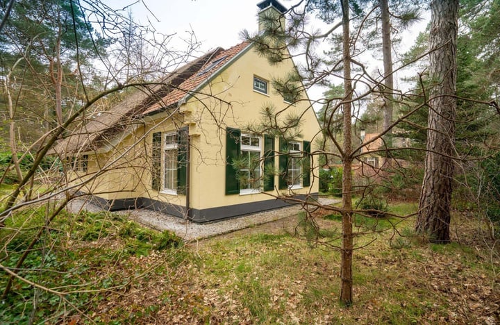 Eengezinswoning, vrijstaande woning 't Hertenspoor 109 Diever