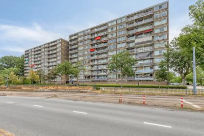 Galerijflat Nieuwe Damlaan 551 in Schiedam