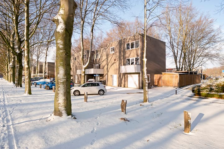 Eindwoning (drive-in woning) Bertus Aafjesstraat 20 Sittard