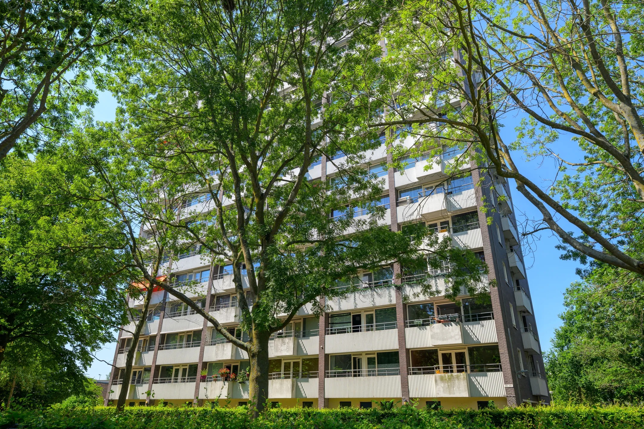 Portiekflat Roggekamp 369 in Den Haag