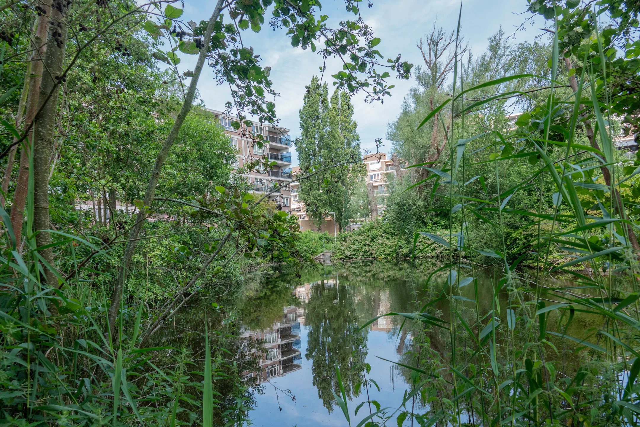 Portiekflat Sandenburg 167 in Haarlem