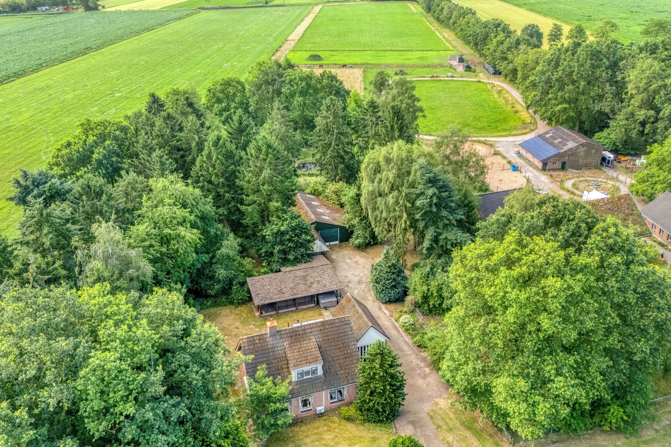 Vrijstaande woning de Leiding 19 in Witharen