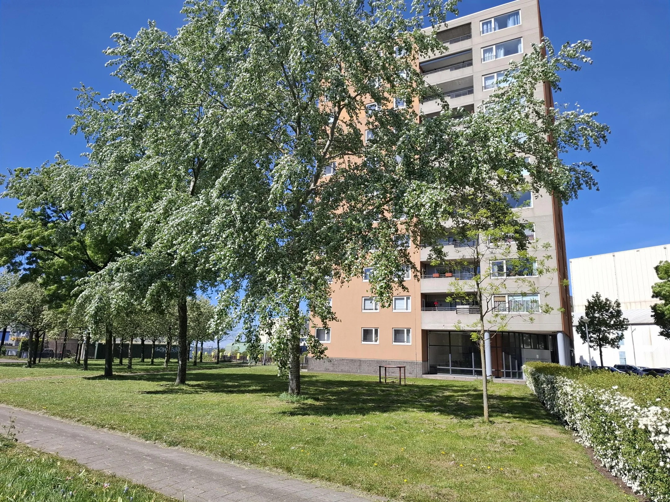 Portiekflat Speedwellstraat 356 Rotterdam